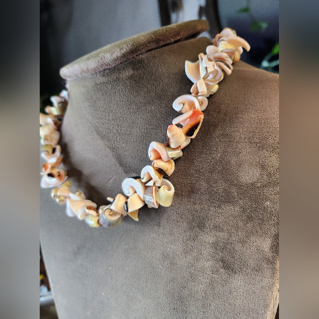 Super Cute Chunky Shell Slice Choker Length Necklace